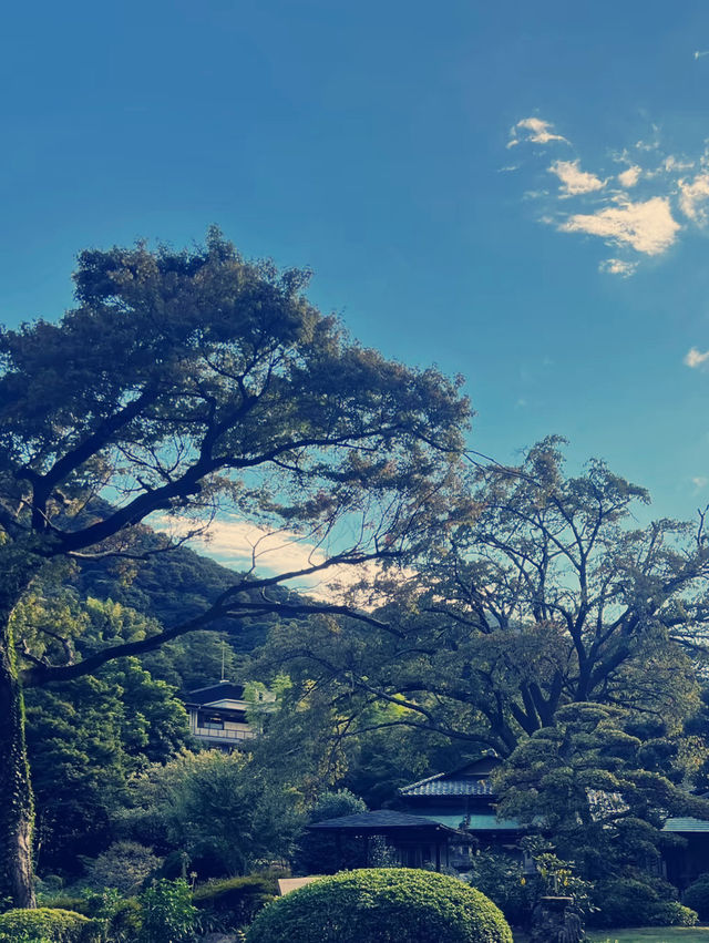 東京近郊必泡！吉池溫泉日歸體驗