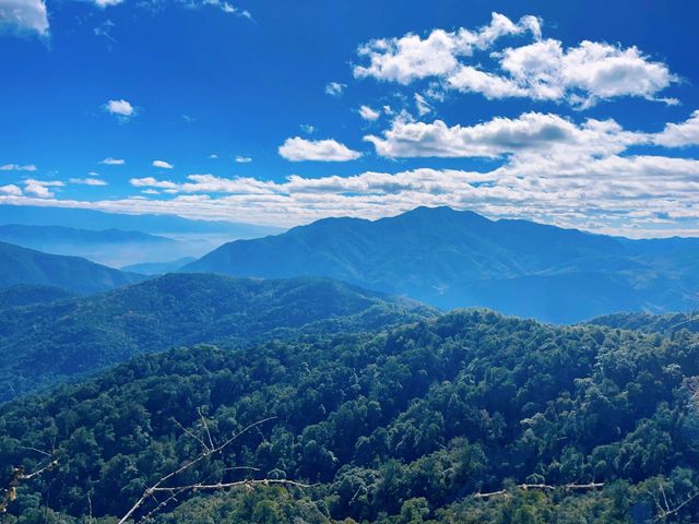 騰衝2025夏日暴走攻略冷門神仙地大公開