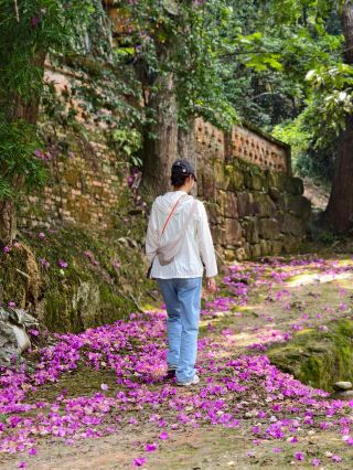 Underrated Hidden Gem for Hiking! Qionglai Baihe Mountain
