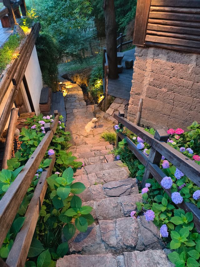 在莫干山邂逅雲岸山居