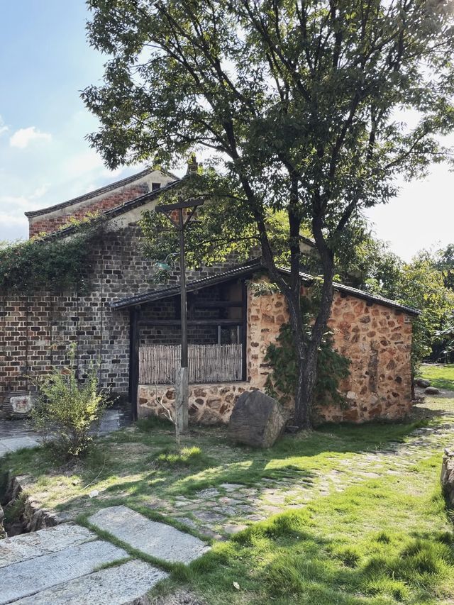 隱手竹海，重拾年少記憶｜南京花跡無想山居