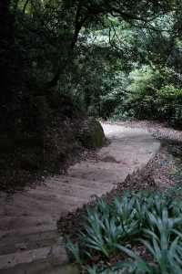 香積寺探幽 | 合谷山居專屬行山體驗