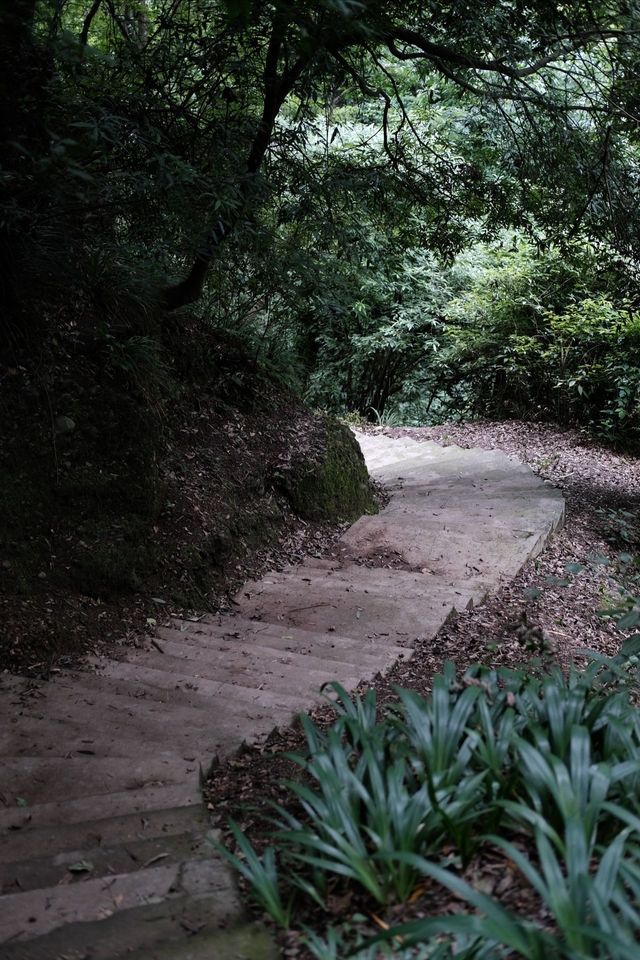 香積寺探幽 | 合谷山居專屬行山體驗