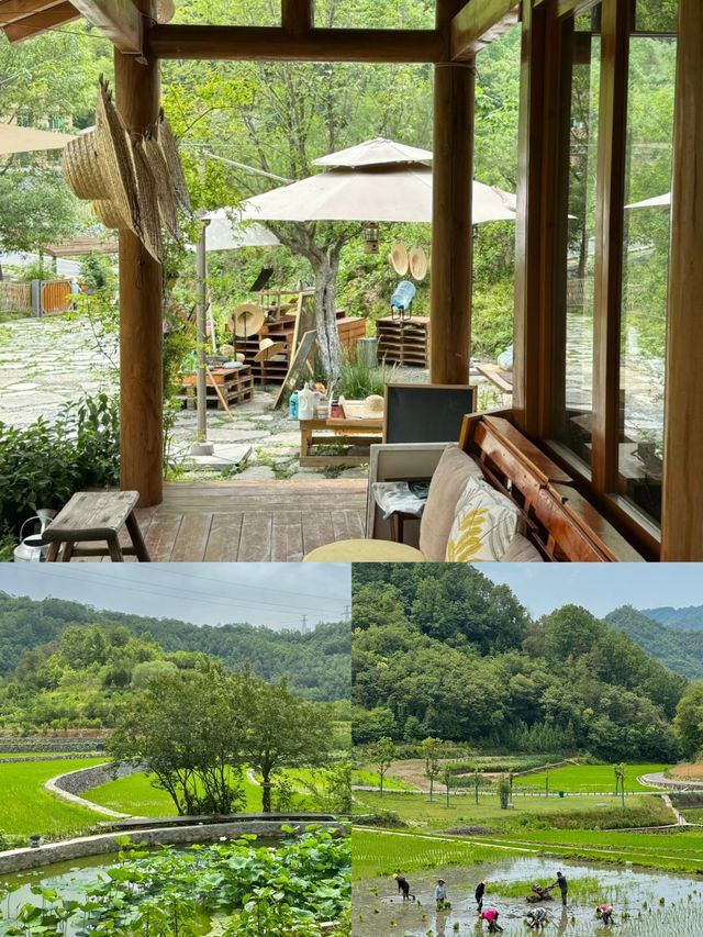 西安週末2h享受療癒·朱䴉小村