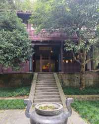 杭州·虎跑公園 西湖邊嘅綠野仙蹤吸氧秘境