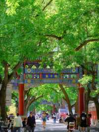 最適合北京夏日嘅citywalk路線出現咗