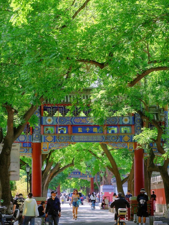 最適合北京夏日嘅citywalk路線出現咗