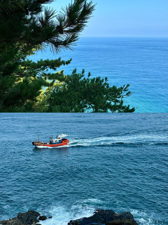 我放棄濟州島了，因為呢度……