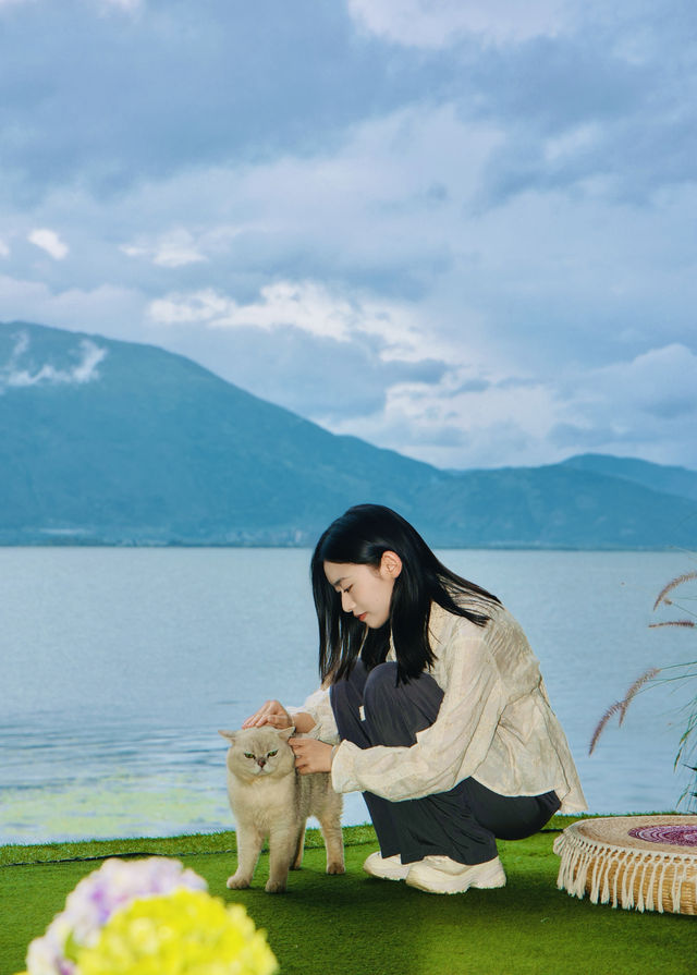 山海相映住一次就淪陷的大理洱海畔寶藏酒店