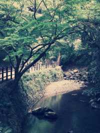 **【穿越千年古都！大阪瀧安寺靜心體驗全記錄】**  