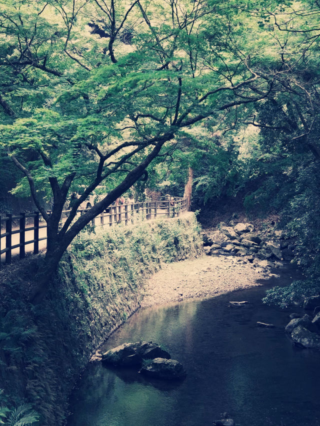 **【穿越千年古都！大阪瀧安寺靜心體驗全記錄】**  