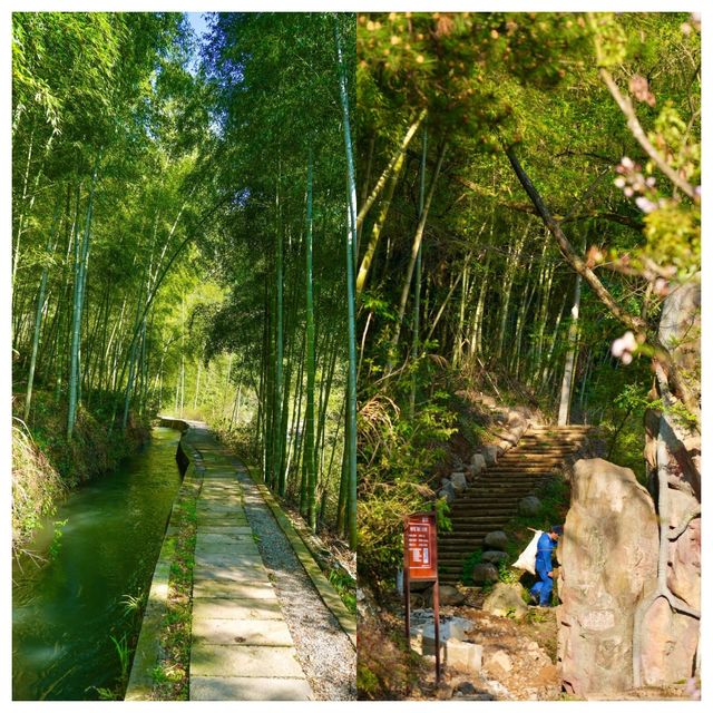 現實版《富春山居圖》的三日兩夜之旅