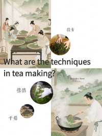 reading this, you'll be an expert on Chinese tea.