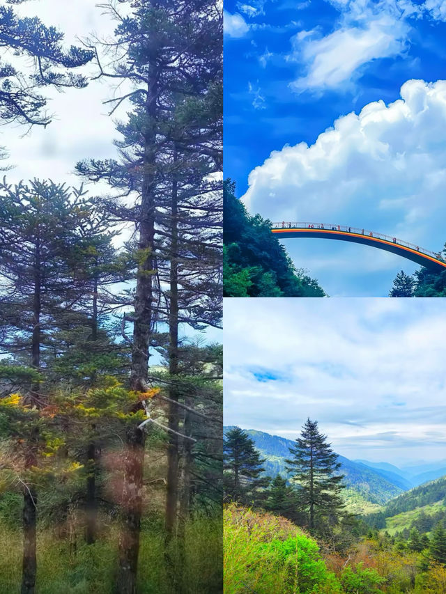 生命秘境神農架，國家地理評為此生必去