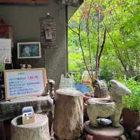 【東京近郊吸氧之旅！奧多摩溪谷+湖景徒步超治愈！】