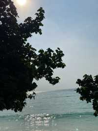 ติดหาดไปเลยสิค้าบ ว้าวว้าวว้าวเลย
