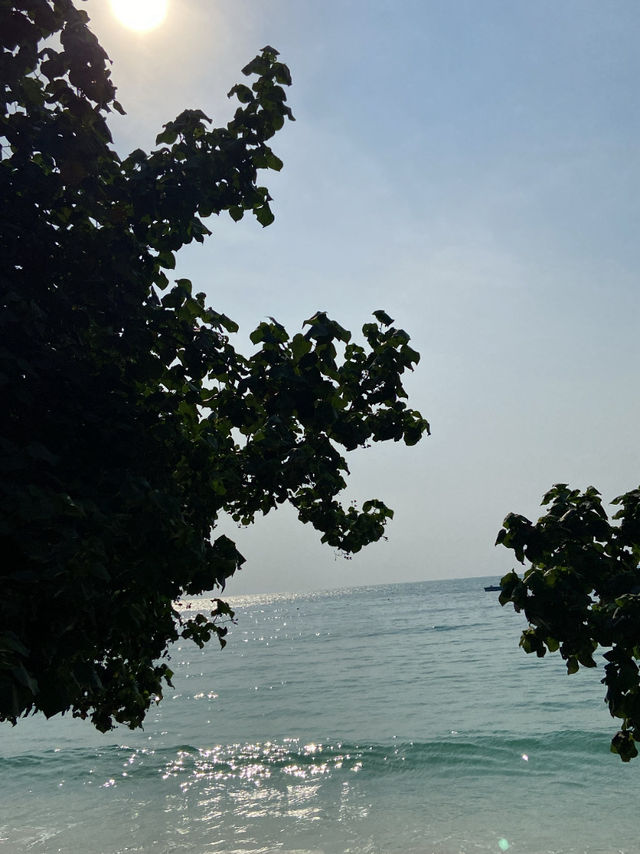 ติดหาดไปเลยสิค้าบ ว้าวว้าวว้าวเลย
