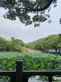 舟山普陀山風景區遊覽攻略：海天佛國的深度探秘