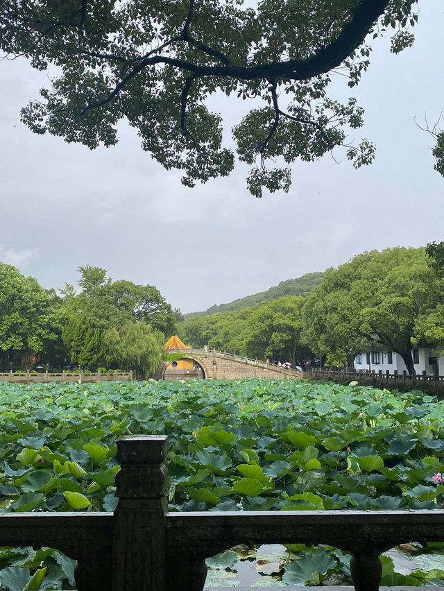 舟山普陀山風景區遊覽攻略：海天佛國的深度探秘