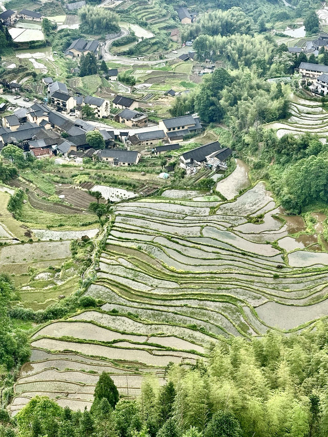 麗水絕美山水攻略