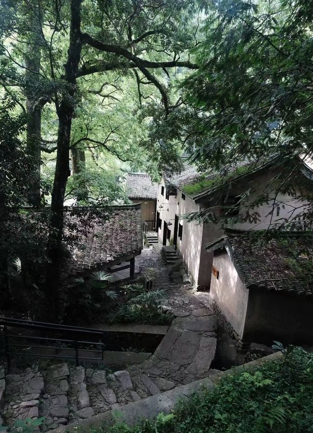 住進600年古村落係咩神仙體驗! 住進600年古村落係咩神仙體驗!
