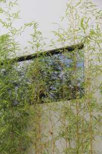 半山渡小記：把日子過成慢悠悠的風