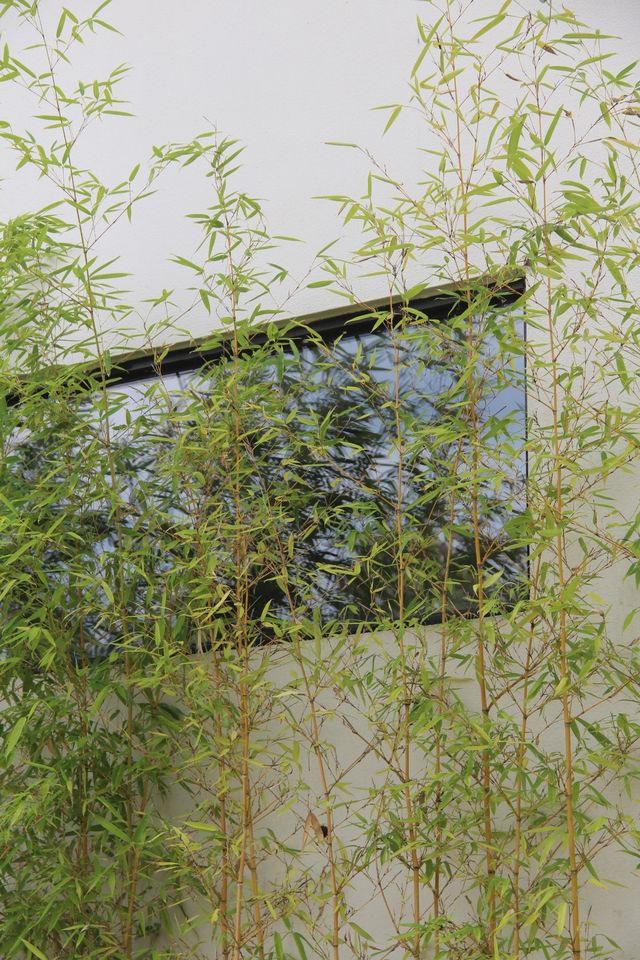 半山渡小記：把日子過成慢悠悠的風