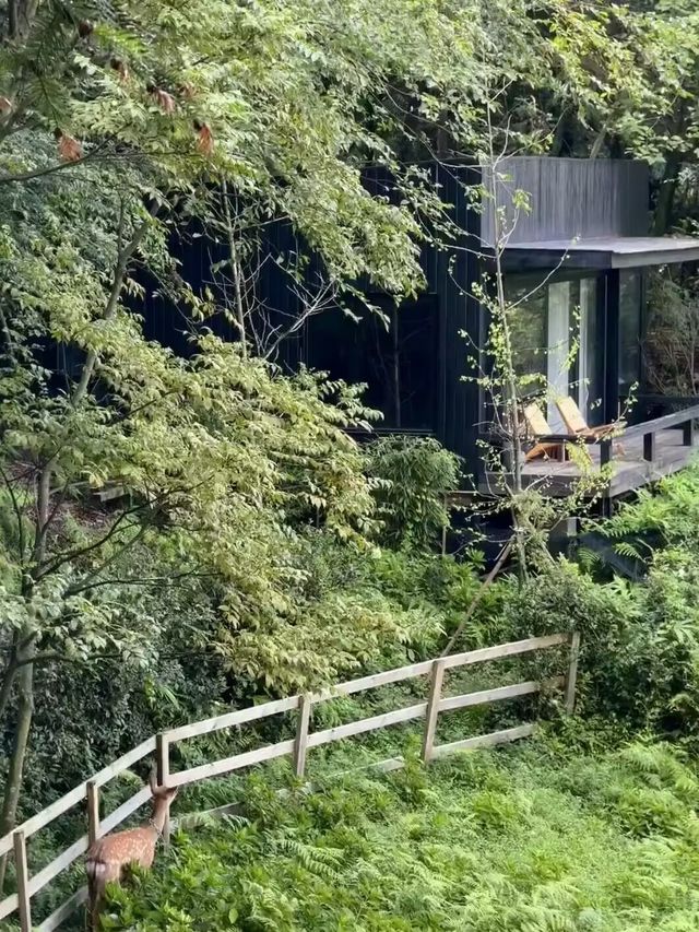 放假囉，只想在山裡睡個覺！