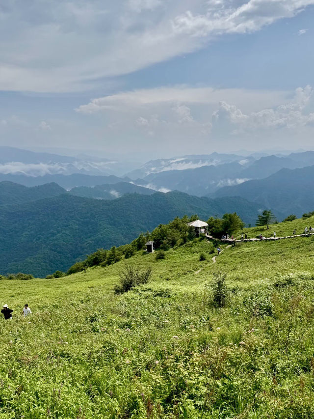 紫柏山|雲嶺深處的綠色祕境 紫柏山|雲嶺深處的綠色祕境