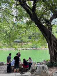 福州西湖公園桂齋，滿園關不住的光影畫 🍃