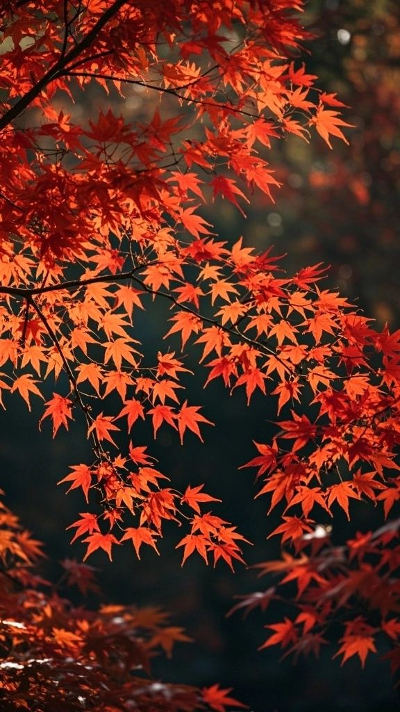 遼寧爆款景點六天五夜攻略5000 遼寧爆款景點六天五夜攻略5000