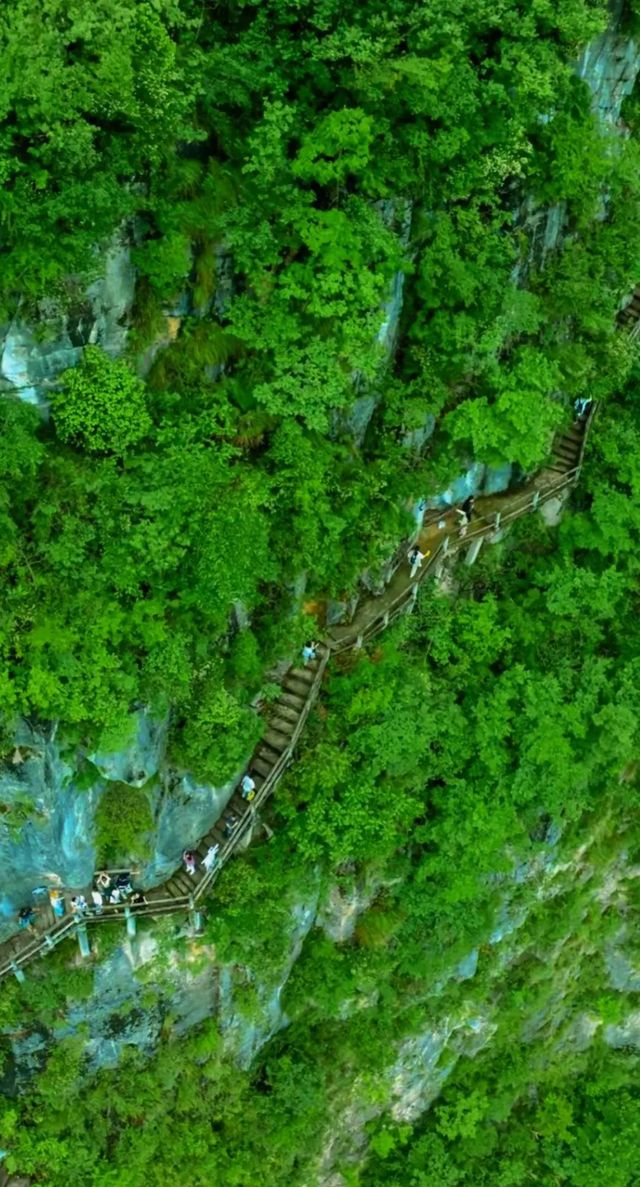 四川綿陽必去景點——九皇山