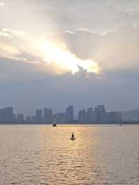海灣公園賞花指南