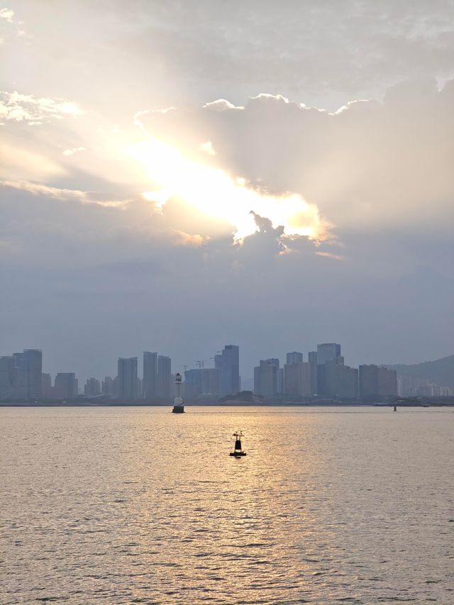 海灣公園賞花指南