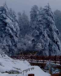 瓦屋山嗎，那確實不錯