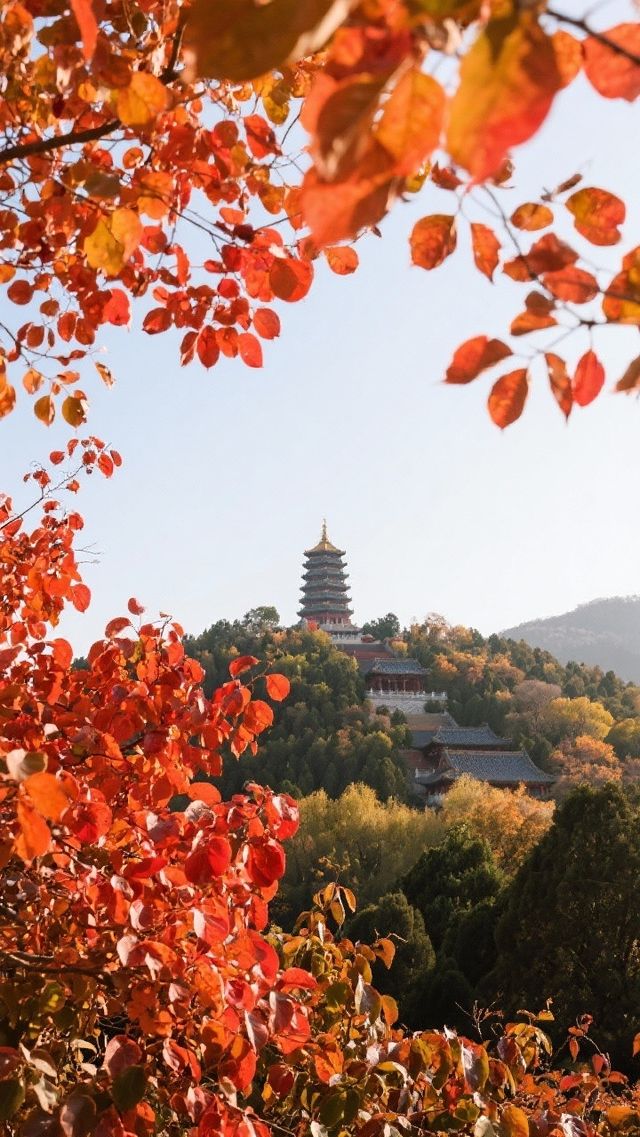 北京重陽季賞秋看紅葉旅遊攻略