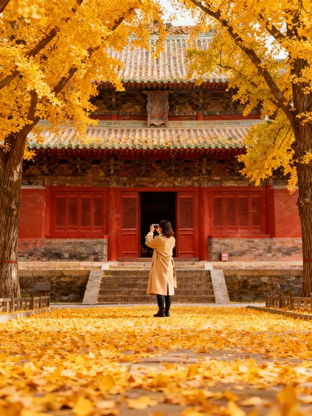 秋日封神路線清單！2025小眾秘境+出片攻略