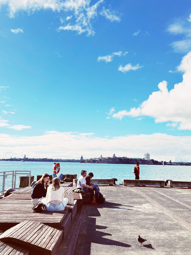 ⛵️ Devonport opposite Harbour: Auckland's Nautical Paradise in the timeless soul❤️! 🌊