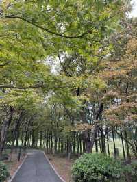 東沙湖生態公園