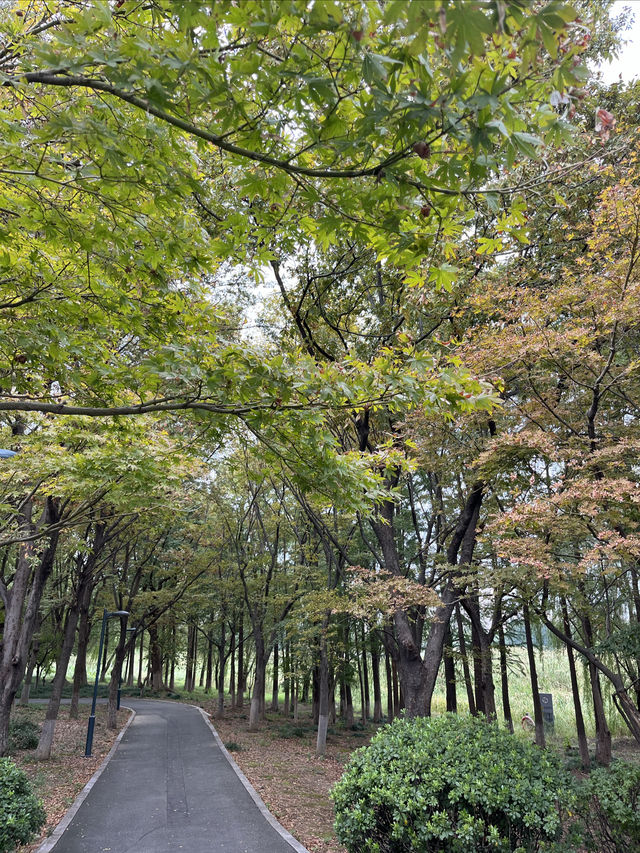 東沙湖生態公園