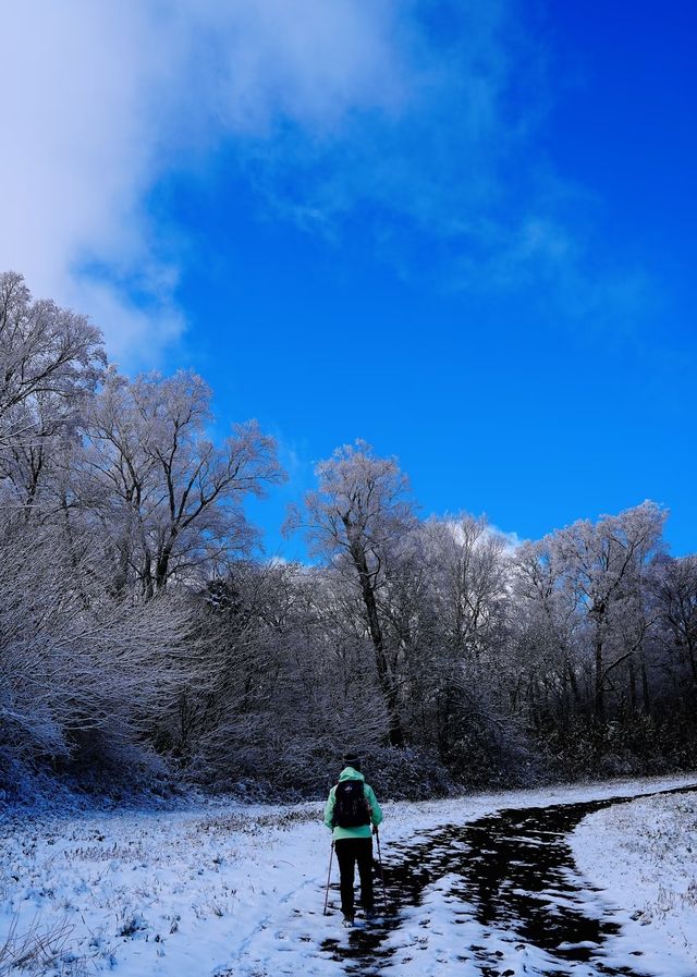 亞布力暖居別墅｜在童話裡滑雪，在城堡裡躺平！ 【住進風景裡的神仙操作】 - 窗外即大片：