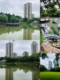 藏在上海的都市桃源，新虹橋中心花園的夢幻謐境！