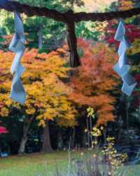 楓葉季限定福井小眾秘境·小濱八寺巡禮攻略