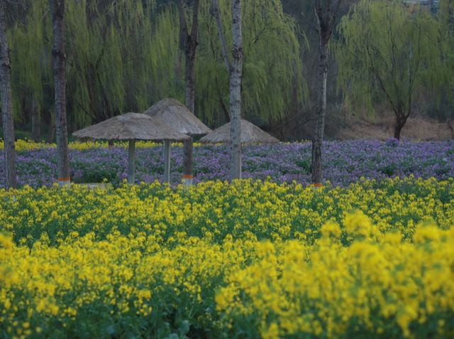 柏臨公園旅拍全攻略