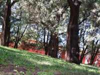 地壇公園｜🩷從史鐵生筆下的「精神原鄉」，逛遍古壇銀杏與歲月