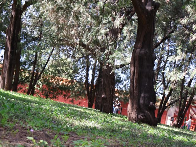 地壇公園｜🩷從史鐵生筆下的「精神原鄉」，逛遍古壇銀杏與歲月
