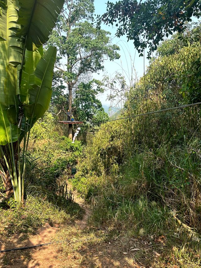 基諾山雨林徒步秘境