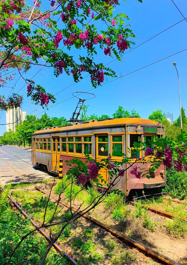 大連201有軌電車海之韻站：藏在海邊的百年時光機