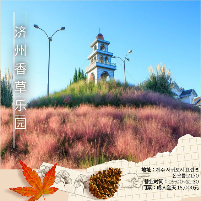 濟州的秋天,藏在風裡,也在路上 濟州的秋天,藏在風裡,也在路上
