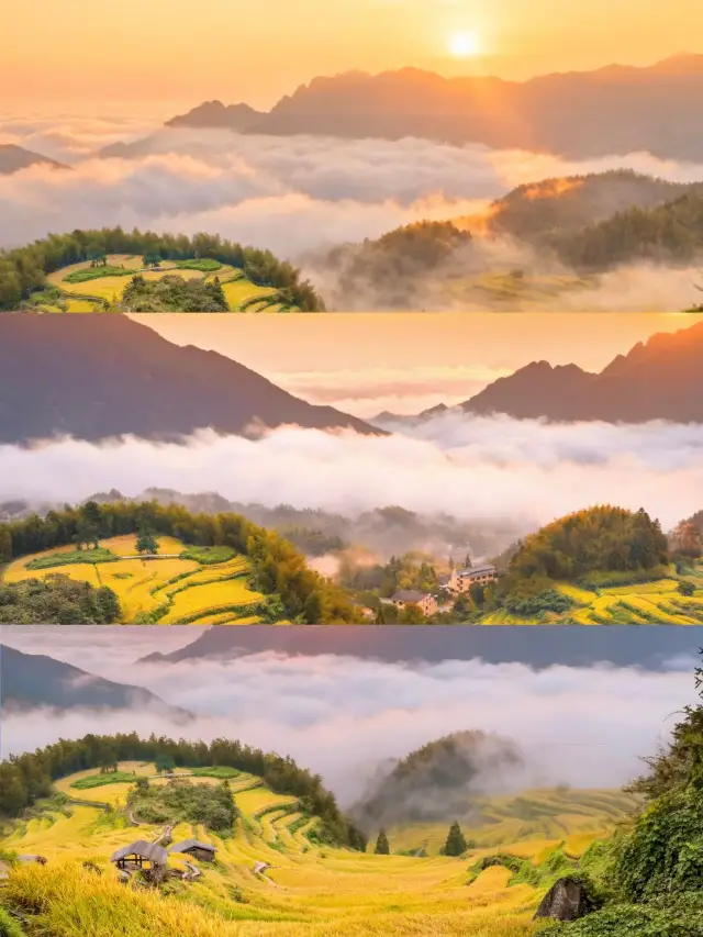 Lishui Yunhe Terraces｜6 AM Sea of Clouds Sunrise, Healing a Whole Year's Fatigue